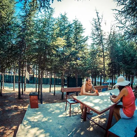 Apartment Crown And Imperial Clubs Sveti Vlas